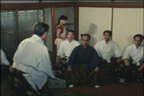 PDVD_019.jpg