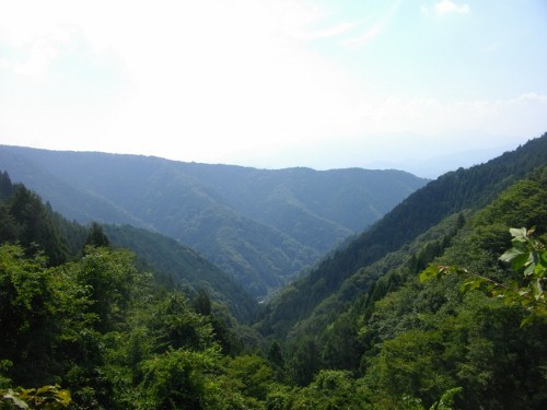 生藤山登山道陣馬高原 (500x375).jpg