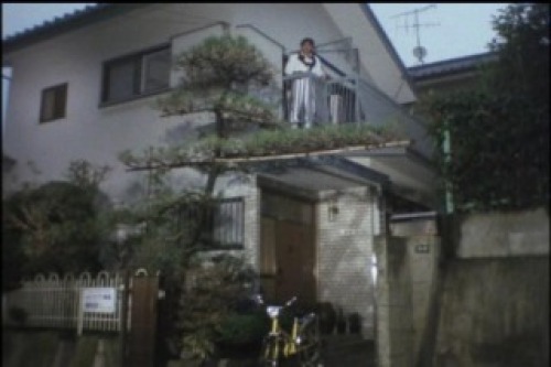 PDVD_015.jpg