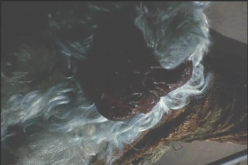 変身忍者 嵐 第2話 怪猿忍者 マシラ現わる 美女 特撮 ドラマ