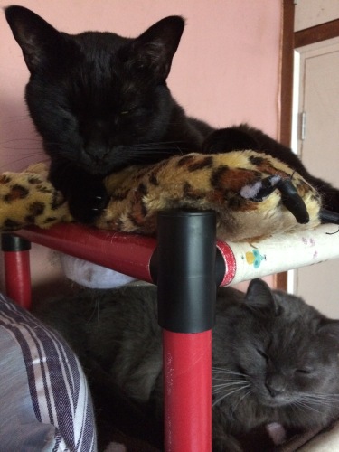 IMG_0374 - コピー.JPG