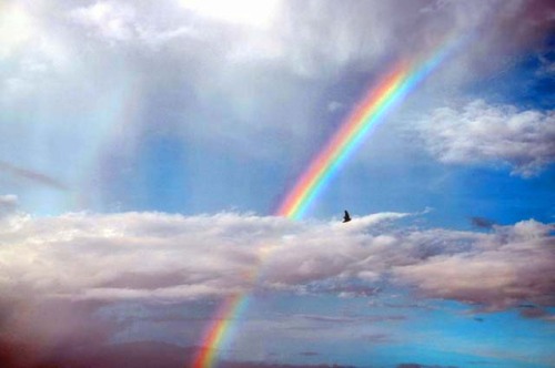 空と虹.jpeg