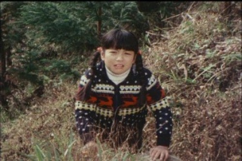 PDVD_016.jpg