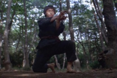 PDVD_018.jpg