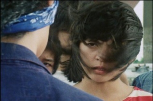 PDVD_042.jpg