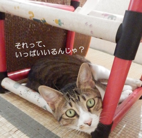 20150926_7.jpg