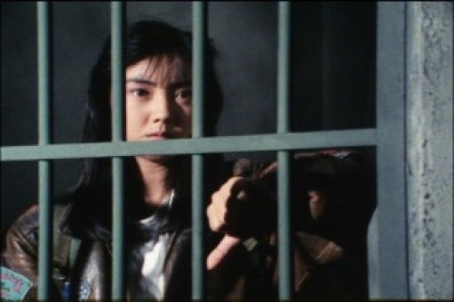 PDVD_170.jpg