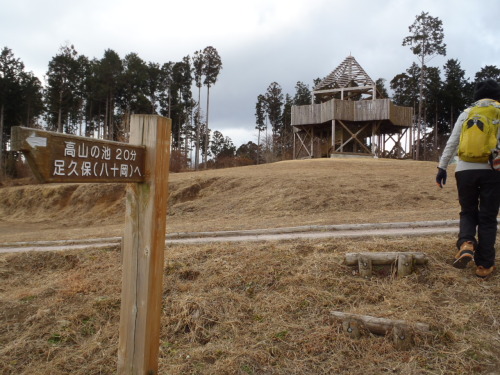 P1050067.JPG