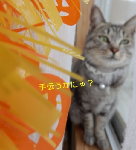 20151030_3.jpg