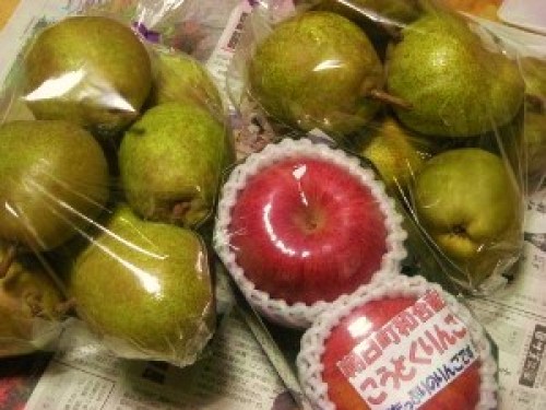 DSCN2605 (300x225).jpg