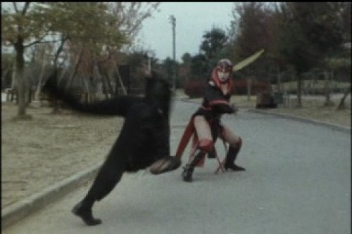 PDVD_029.jpg