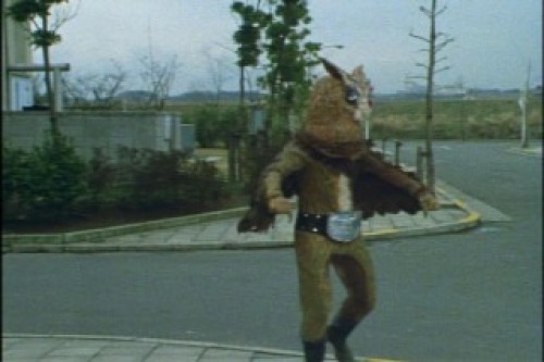 PDVD_015.jpg