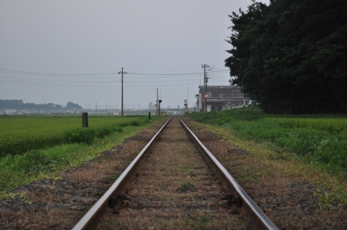 DSC_0064.jpg