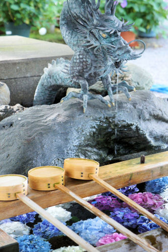 御裳神社(みもじんじゃ)　一宮市　あじさい