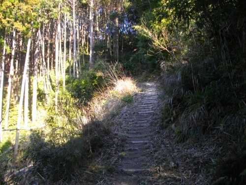 花嫁街道登山道 (1) (500x375).jpg
