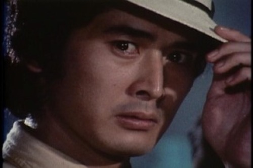 PDVD_003.jpg