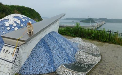 角島3.JPG