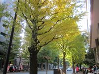 IMG_0005_R.JPG