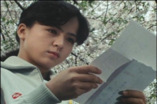PDVD_022.jpg