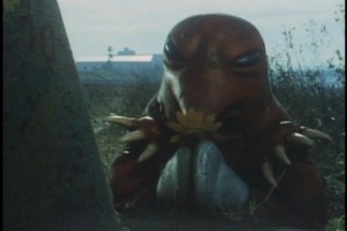 PDVD_007.jpg