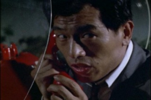 PDVD_020.jpg