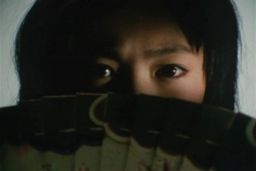 PDVD_042.jpg