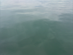 t13100802.jpg