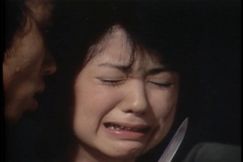 PDVD_013.jpg