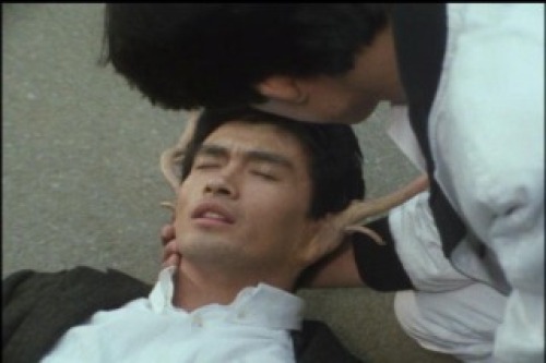 PDVD_030.jpg