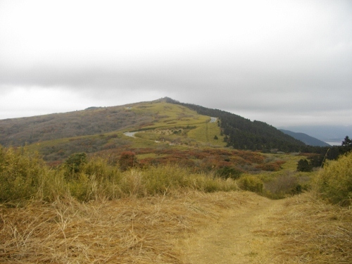 箱根外輪山山伏峠 (2) (500x375).jpg