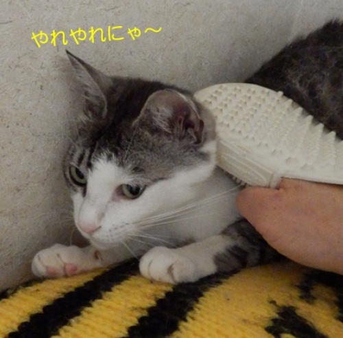 20150624_4.jpg
