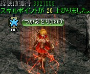 キングクラブの巣