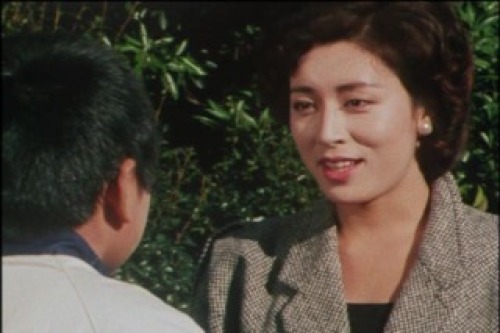 PDVD_002.jpg