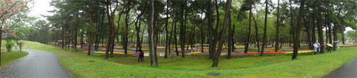 ひたち海浜公園12.jpg