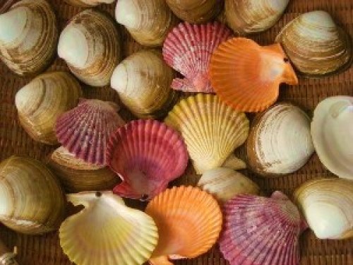 DSCN3543 (300x225).jpg