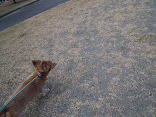 DSCN6854.JPG
