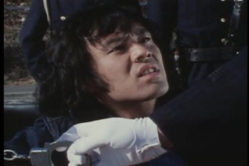 PDVD_011.jpg