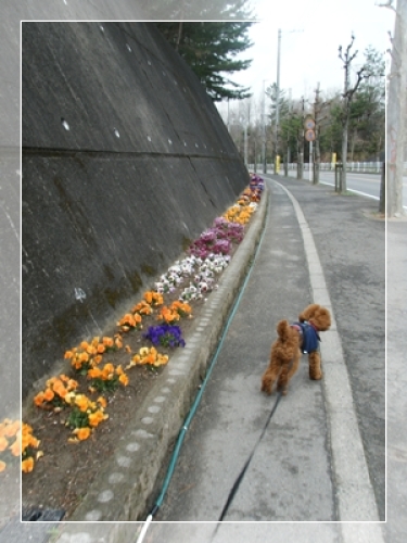 DSCF5012.JPG