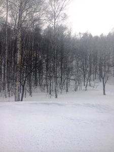 雪(V.2014_03_25__10_09_00).jpg