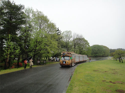 ひたち海浜公園23.jpg