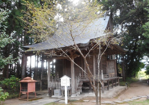 土佐国分寺開山堂.JPG