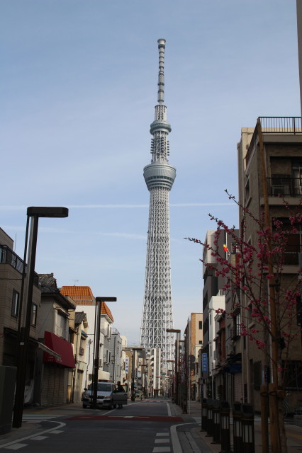タワービュー通りから見る東京スカイツリー ｍｏｍｏ太郎日記 楽天ブログ
