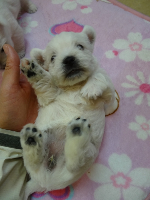 20130302-1.jpg