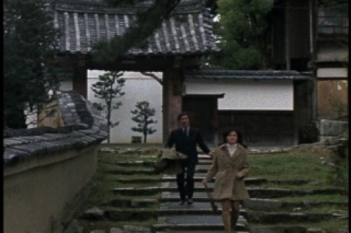 PDVD_008.jpg