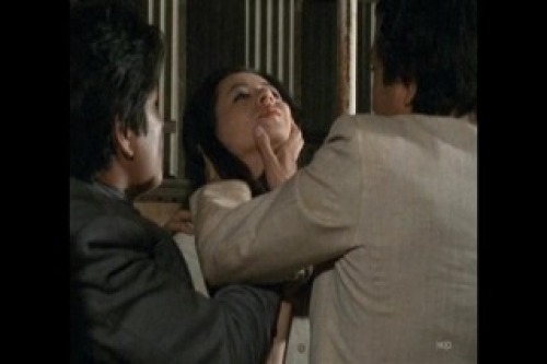 PDVD_029.jpg