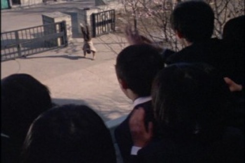 PDVD_011.jpg