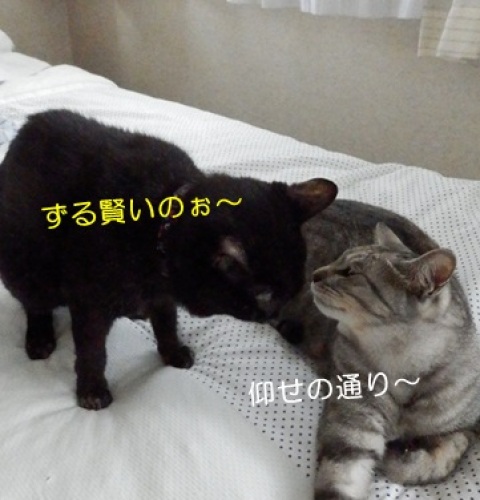20141004_10.jpg