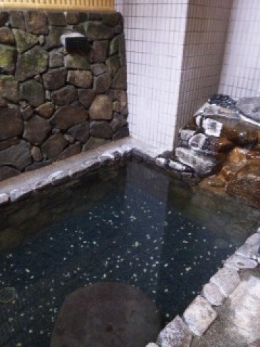 諏訪温泉1.JPG
