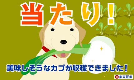 kabu kuji win