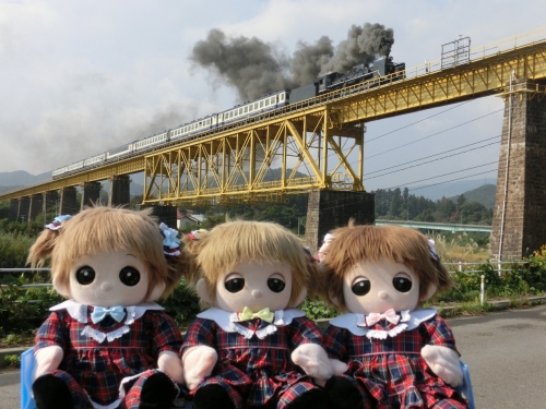 CIMG1743 (1280x960).jpg